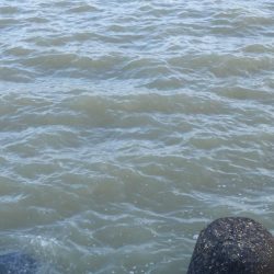 やっと釣れた‼前は⁇A long time ago‼